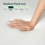 ZINUS Green Tea Memory Foam Mattress