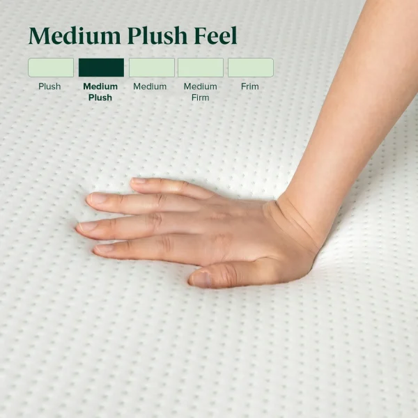 ZINUS Green Tea Memory Foam Mattress