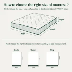 ZINUS Pocket Spring Mattress