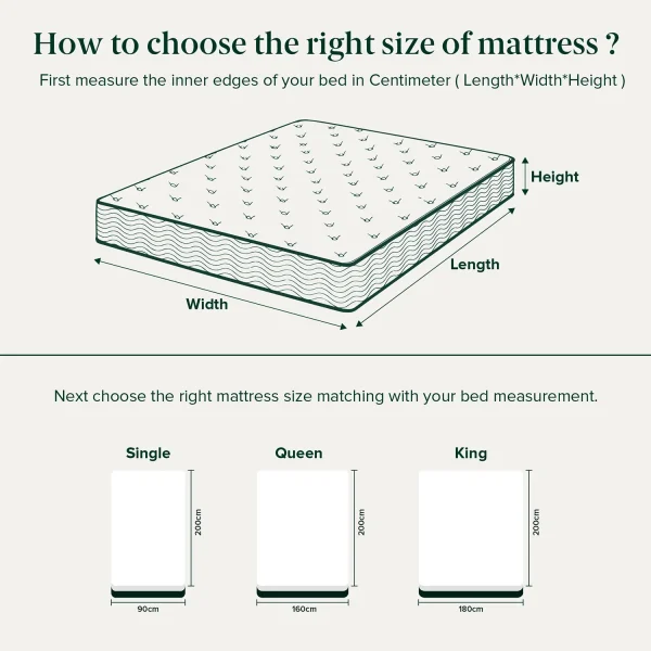 ZINUS Pocket Spring Mattress
