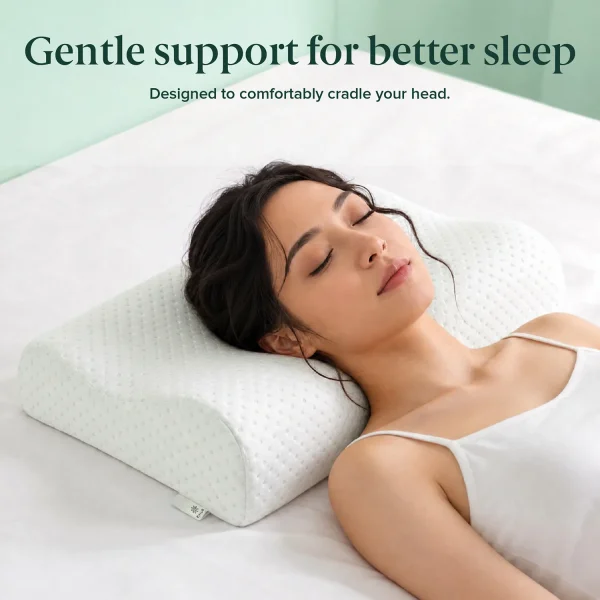 ZINUS Contour Pillow