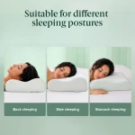 ZINUS Contour Pillow