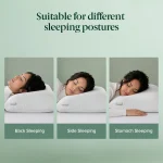 ZINUS Dual Side Pillow