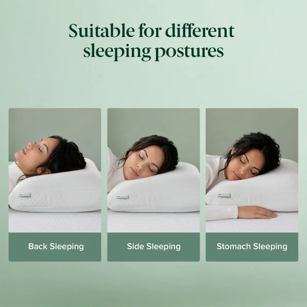 ZINUS Dual Side Pillow