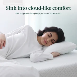 ZINUS Green Tea Memory Foam Pillow