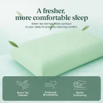ZINUS Green Tea Memory Foam Pillow