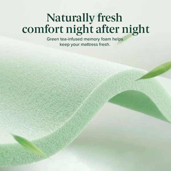 ZINUS Green Tea Memory Foam Pillow