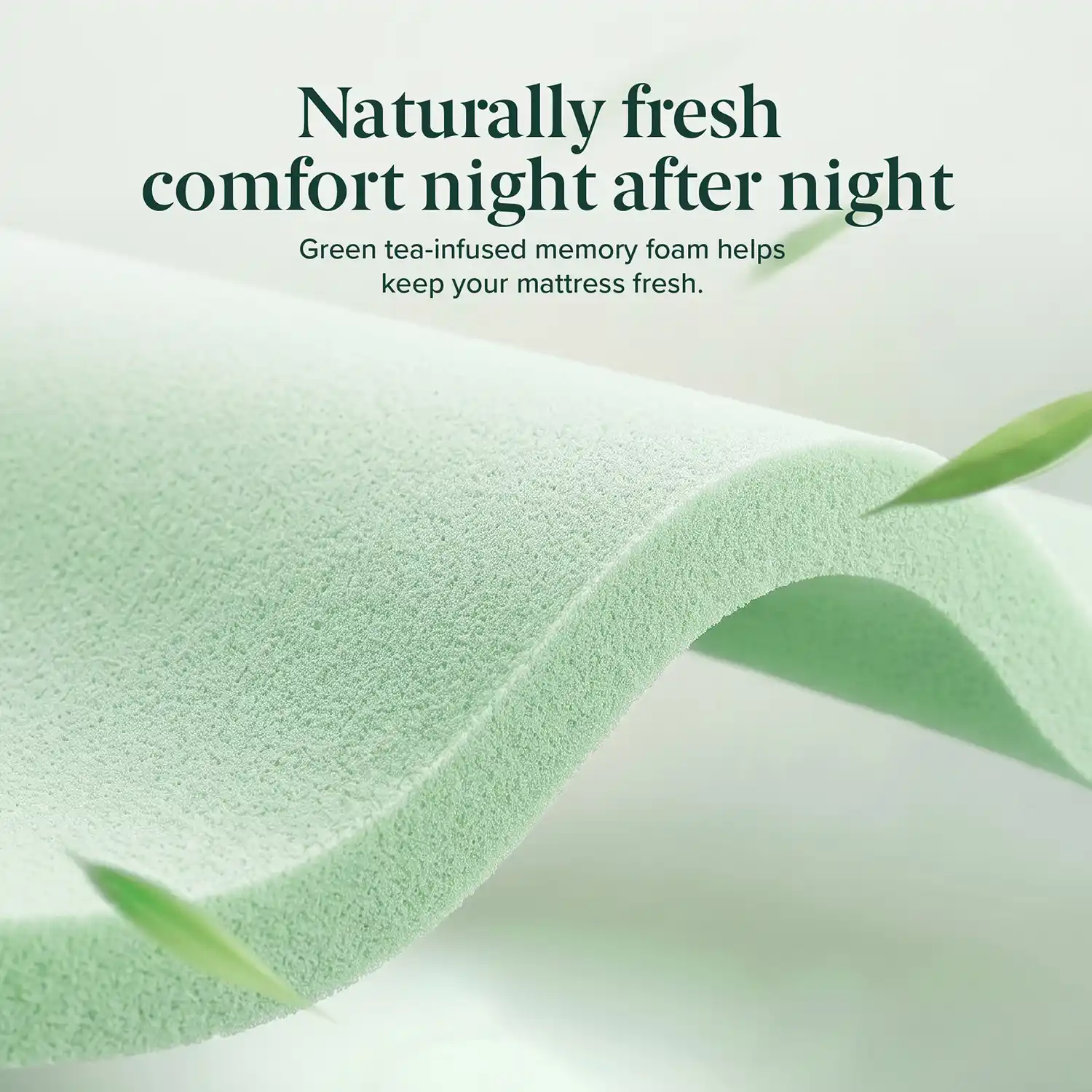 ZINUS Green Tea Memory Foam Pillow