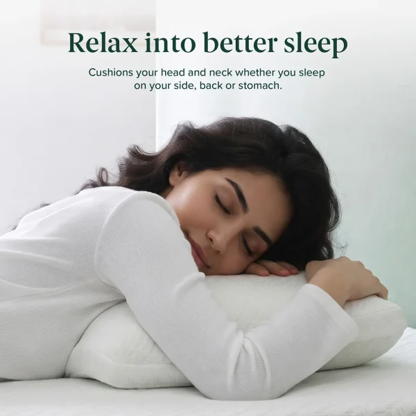 ZINUS Green Tea Memory Foam Pillow