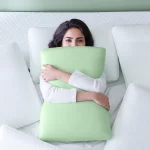 ZINUS Green Tea Memory Foam Pillow